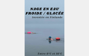6a832af2c1814_Nageeneaufroideglace.jpg